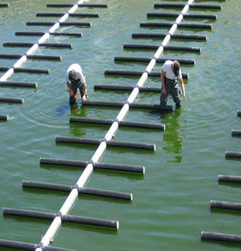 ��ʽ�ؚ�������չʾ